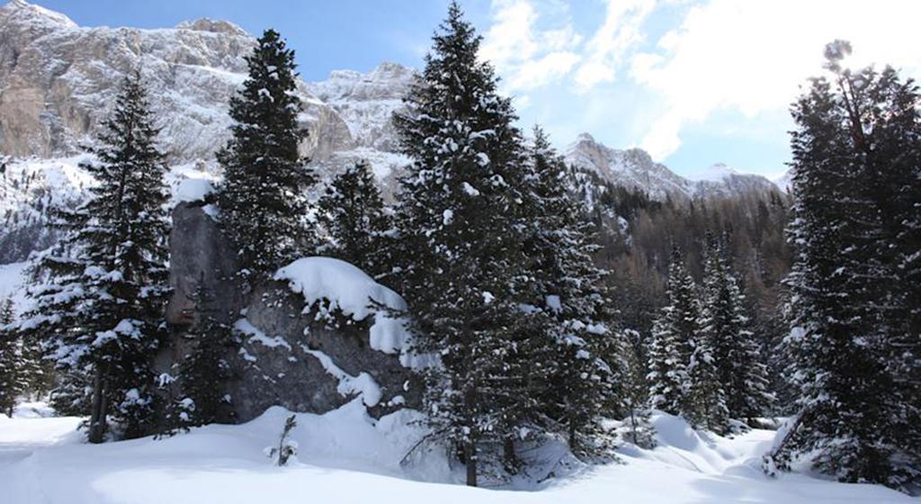 Hotel Meisules Selva di Val Gardena Zewnętrze zdjęcie